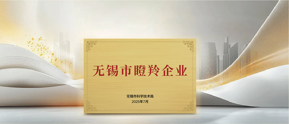 Lees Power reconocido como "2024 Wuxi Gazelle Enterprise "